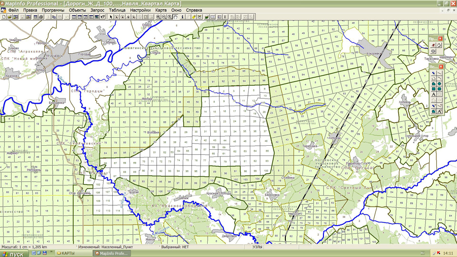 Карта лесничеств и кварталов