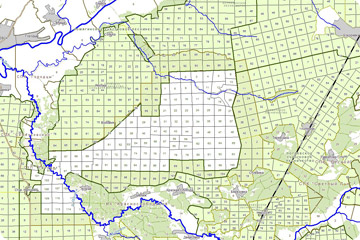 Поквартальная карта воронежского заповедника